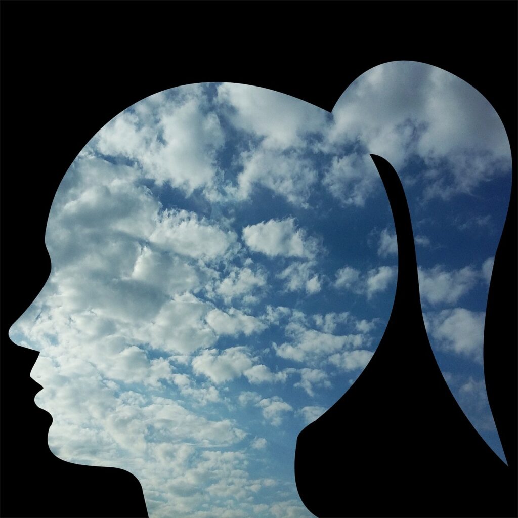 head, woman, person, people, face, profile, loneliness, happiness, thoughts, sky, clouds, nature, anxiety, confusion, mental confusion, psychology, to think, emotion, thought, mind, anxiety, anxiety, anxiety, anxiety, anxiety, confusion, mind, mind, mind